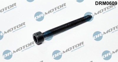 Surub, Suport Injector 244255 DRM0609 foto