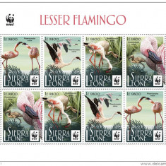 WWF 2017-SIERRA LEONE-Bloc de 8 timbre nestampilate- pasari, Lesser FLAMINGO,MNH