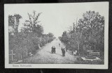 Carte postala, bulevardul din Buzau, inceput de secol XX