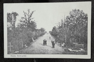 Carte postala, bulevardul din Buzau, inceput de secol XX foto