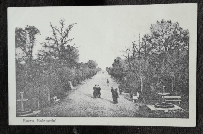 Carte postala, bulevardul din Buzau, inceput de secol XX