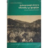 SUBCARPATII DINTRE CALNAU SI SUSITA. STUDIU GEOMORFOLOGIC-HORIA GRUMAZESCU-239821