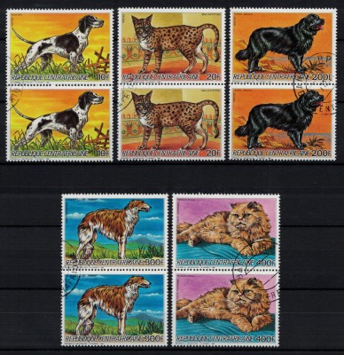 AFRICA CENTRALA 1986 - Caini si pisici /serie completa perechi foto
