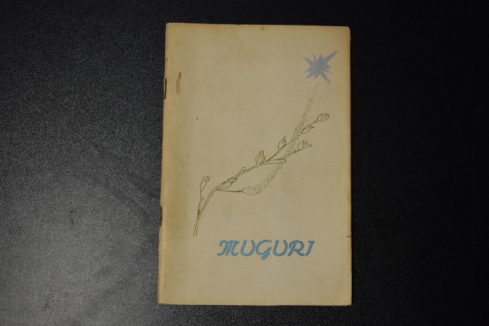 Muguri Consiliul Regional al Organizatiei Pionierilor Suceava 1967