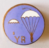 INSIGNA PARASUTISM CLASA 1 YR AVIATIE PARASUTIST ARMATA ( CITITI DESCRIEREA )
