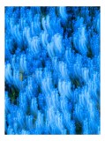 Tablou Canvas cu motiv floral albastru șoptit, 26 x 39 cm, CMCLASS