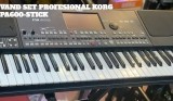 V&acirc;nd SET Profesional KORG PA300 PA600 PA800 PA900 PA500 PA700 PA1000