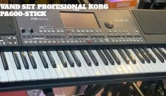 V&amp;acirc;nd SET Profesional KORG PA300 PA600 PA800 PA900 PA500 PA700 PA1000 foto