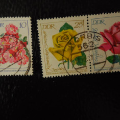 Serie timbre flora flori trandafiri plante Germania DDR stampilate