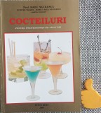 Cocteiluri pentru profesionisti si amatori RADU NICOLESCU DUMITRU MLADIN