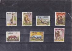 A12 S3 12 - Timbre foarte vechi - Liberia - animale salbatice