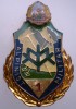 I.785 INSIGNA MILITARA VANATORI DE MUNTE ALPINIST MILITAR CLS I-a, Romania de la 1950