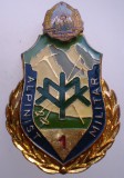I.785 INSIGNA MILITARA VANATORI DE MUNTE ALPINIST MILITAR CLS I-a