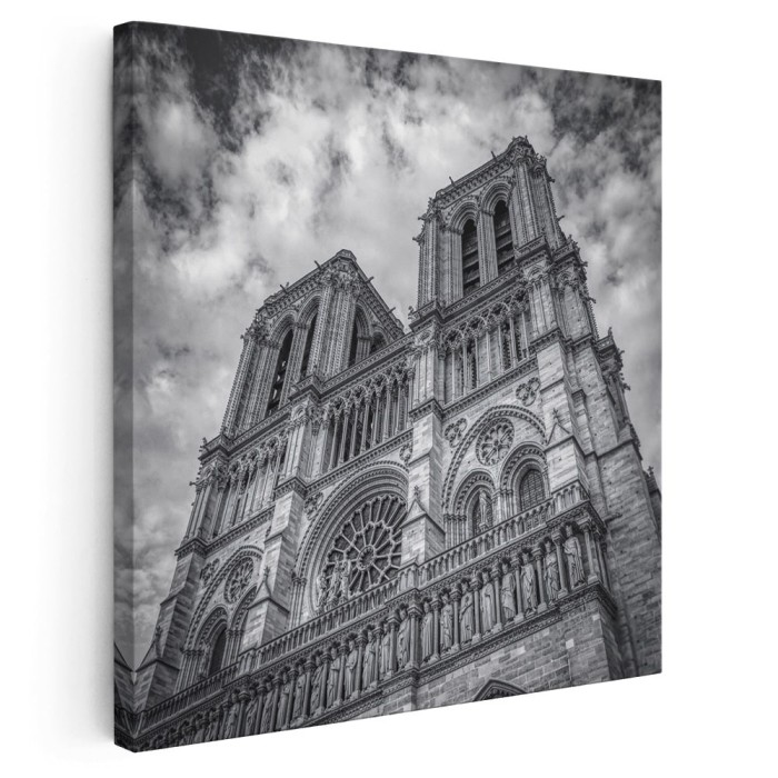 Tablou Notre Dame din Paris Franta alb, negru 1523 Tablou canvas pe panza CU RAMA 60x60 cm