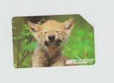bnk card Cartele telefonice - Italia - fauna - lup