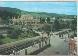 bnk cp Vatra Dornei - Vedere - necirculata