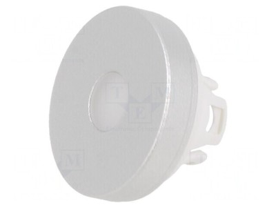 Lentilă Buton 22mm Aluminiu Natural foto