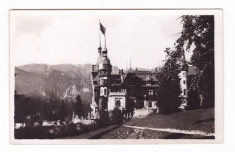 SINAIA-CASTELUL PELES-CARTE POSTALA ANII 30 foto