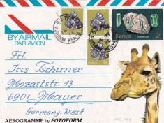 FILATELIE TEMATICA - PLIC KENYA TEMATICA ANIMALE FAUNA GIRAFA AIRMAIL AEROGRAMA