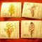 Serie RFG 1984 - FLORA , 4 valori
