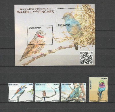 BOTSWANA 2025 FAUNA PASARI foto