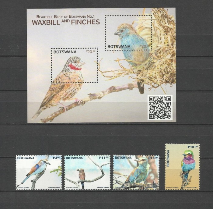 BOTSWANA 2025 FAUNA PASARI