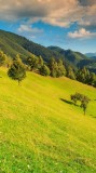 Vand teren intravilan l&acirc;ngă dezmembrari Feleacu Cluj