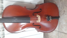 Violoncel 1/2 foto