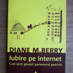 Diane M. Berry - Iubire pe internet. Cum să-ți găsești partenerul potrivit