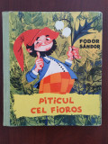 Piticul cel fioros - Fodor Sandor - ilustrații de Livia Rusz Tenkei - 1966, Tineretului