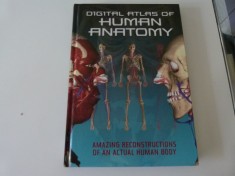 Atlas digital de anatomie umana, engl.
