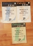 Probleme de algebra pentru liceu de Ion Petrica (3 vol.)