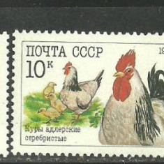 RUSIA 1990 – PASARI DOMESTICE, serie nestampilata, F108