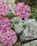 Cumpara ieftin Flori din Romania, Mircea Bichiceanu, 1964, Editura Meridiane, 200 pagini, Coperta Cartonata, Carte Biologie