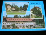 QW23 B - Carte postala - tematica turism - vedere - Romania - Borsec 1, Circulata, Fotografie