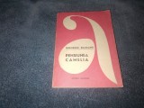 GHEORGHE BUZOIANU - PENSIUNEA CAMELIA