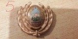 QW14 - Emblema militara / cuc - uscat - comunism - piesa de colectie