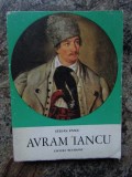 STEFAN PASCU - AVRAM IANCU