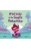Cumpara ieftin Pichu e in toate felurile - Ioana Barbulescu
