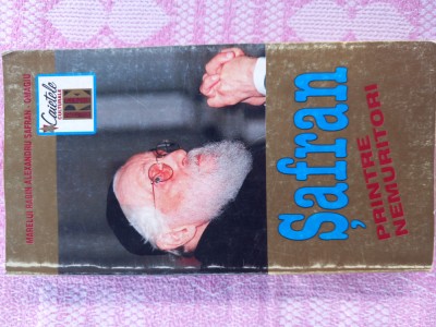(C511) MANASE RADNEV si TICU GOLDSTEIN - SAFRAN PRINTRE NEMURITORI foto