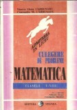 Culegere de probleme. Matematica clasele V-VIII - Mihaela Singer, Viorica Elena Carbunaru