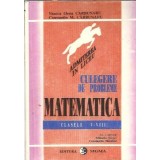 Culegere de probleme. Matematica clasele V-VIII - Mihaela Singer, Viorica Elena Carbunaru