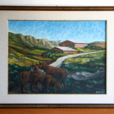 Ferma de munte - tablou pictura originala ulei pe panza, rama cu sticla 76x61cm