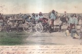 Tigani (circulata 1906)