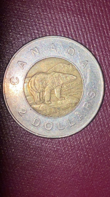 2 DOLARI CANADA 2005 foto