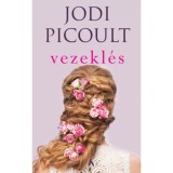 Vezekl&eacute;s - Jodi Picoult