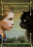 Proba focului. Seria Mica vrajitoare. Volumul 1. Editia a II-a/Lene Kaaberbol, Paralela 45