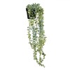 Planta Artificială, Eucalipt, Ghiveci Negru, 66cm, Plastic, Oem