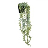 Planta Artificială, Eucalipt, Ghiveci Negru, 66cm, Plastic, Oem