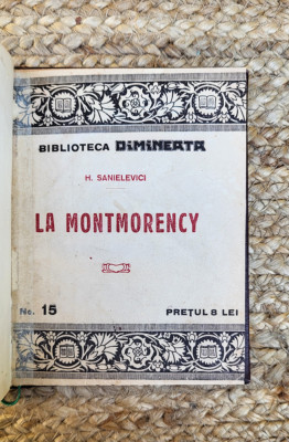 H.Sanielevici- La Montmorency foto